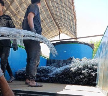 والپست براتلو