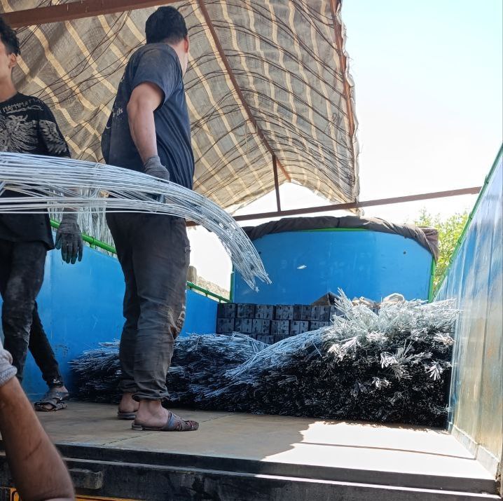 والپست براتلو